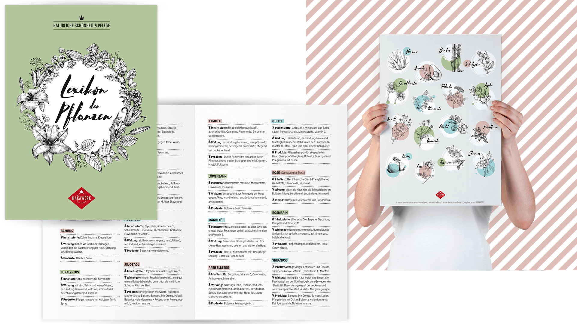 Hakawerk Pflanzenlexikon Grafikdesign: Titel und zwei Beispielseiten